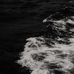 HoldingRisk