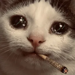 thatsmycat420