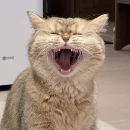 LORDINME